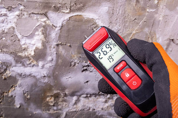 Best Fast Mold Removal  in Augusta, GA