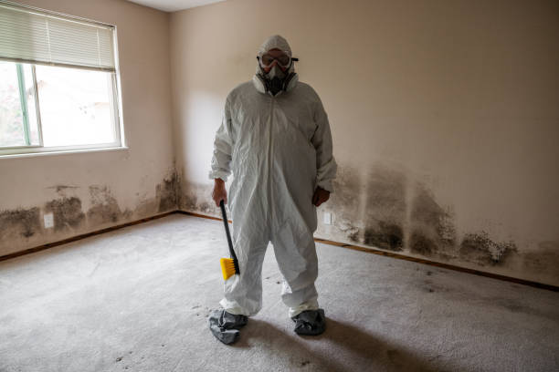 Best Toxic Mold Removal  in Augusta, GA
